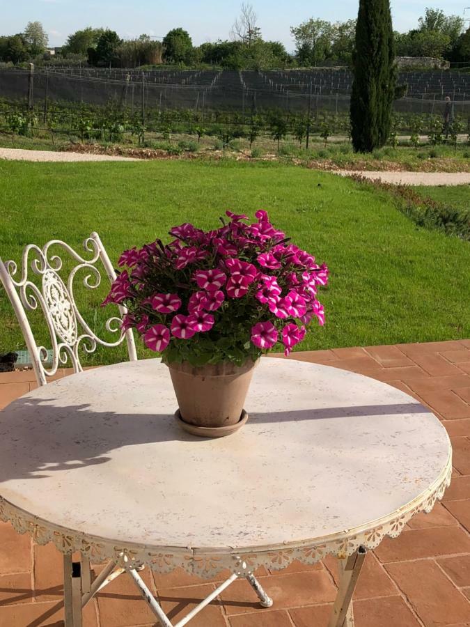 Maso Maroni Agriturismo Quinto di Valpantena Exterior photo